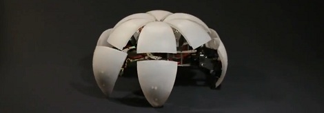 Hexapod