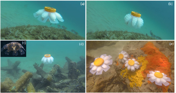 Soft Jellyfish Robot
