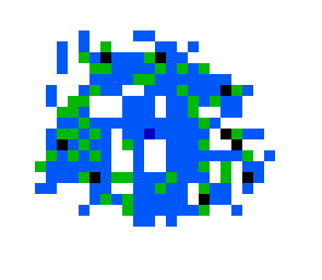 amoeba
