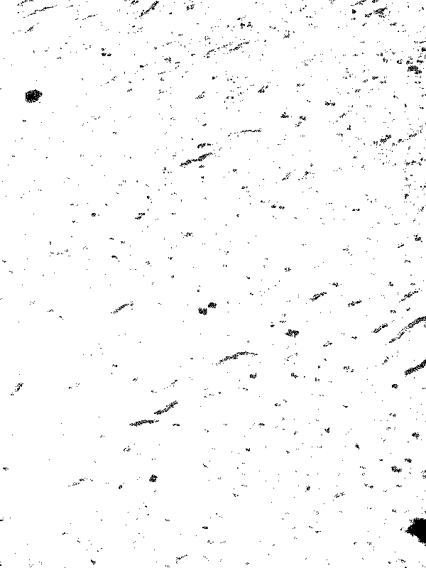 speckle overlay