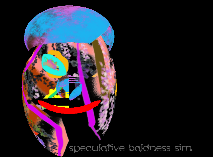 speculative baldness simulator code sketch