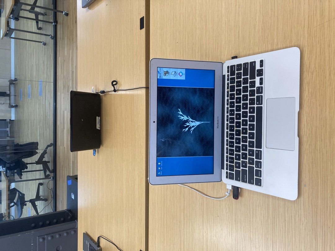 Digitalis, showing generated plant stems on a Macbook Air 2015 running HaikuOS Digitalis, showing generated plant stems on a Macbook Air 2015 running HaikuOS