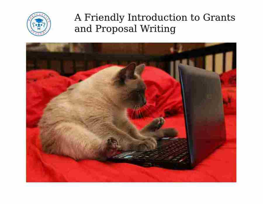 screenshot of intro slide from A Friendly Introduction to Grants and Proposal Writing with a Babycastles logo and a picture of a cat typing on a laptop