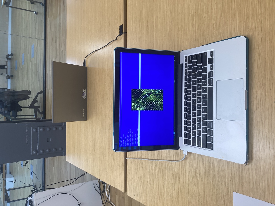 An old macbook showing a project coded in L5 named Wilt/Bloom showing pixelated flower/plant growth in front of a blue launcher screen