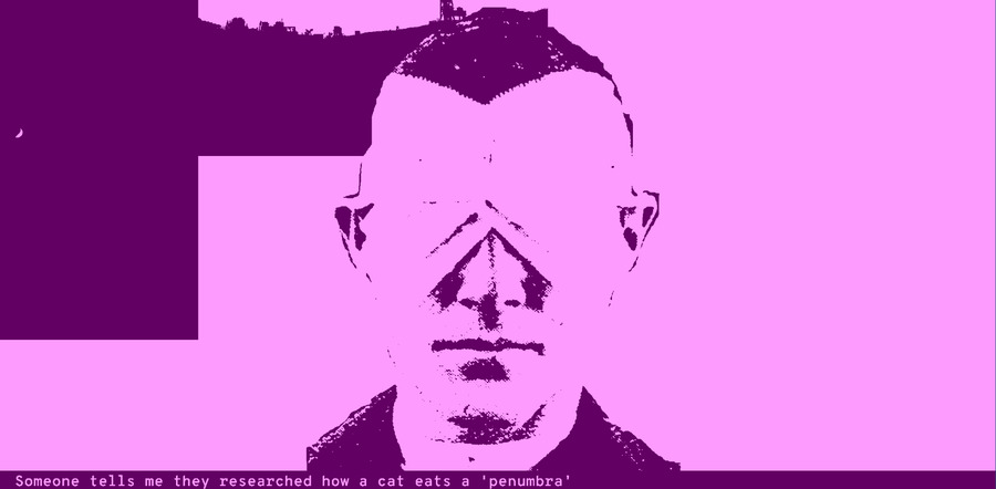 A screenshot of a program with a head in pink and red on a pink background, the image is from the time traveler in La Jetee