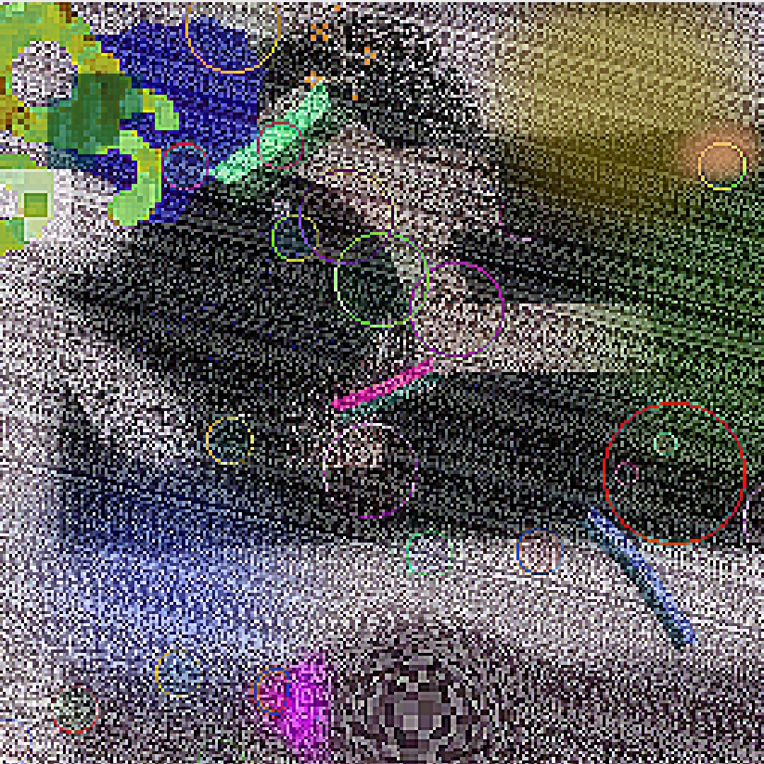 Jesper's image