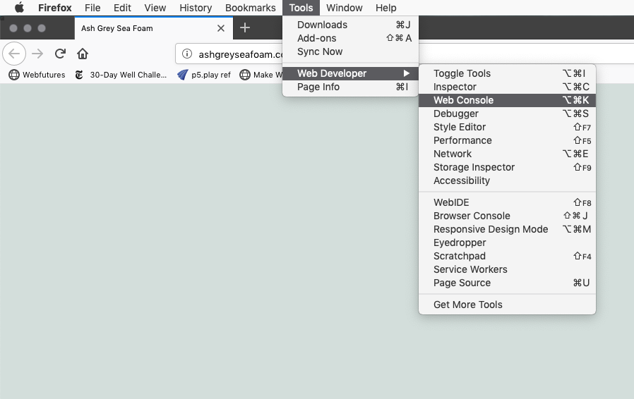 accessing the browser console - Firefox